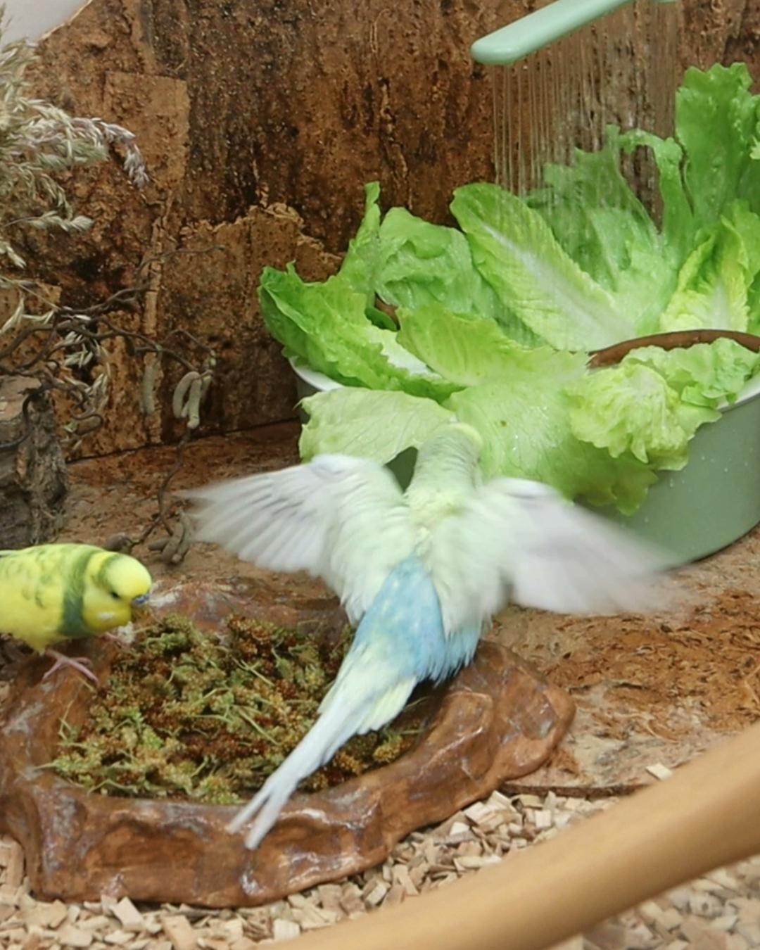 Luftbaden tuts auch 😂