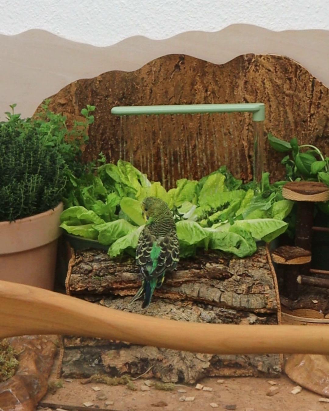 Therapie für Wasserphobiker