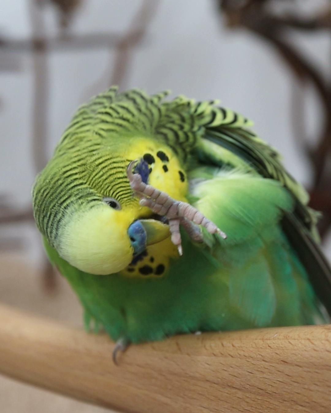 Zeigt her eure Füße…