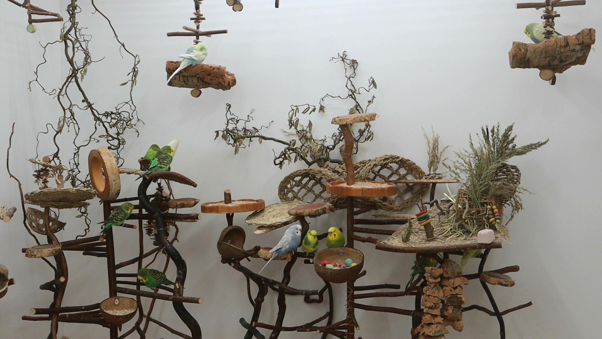 Wundervoller Frieden