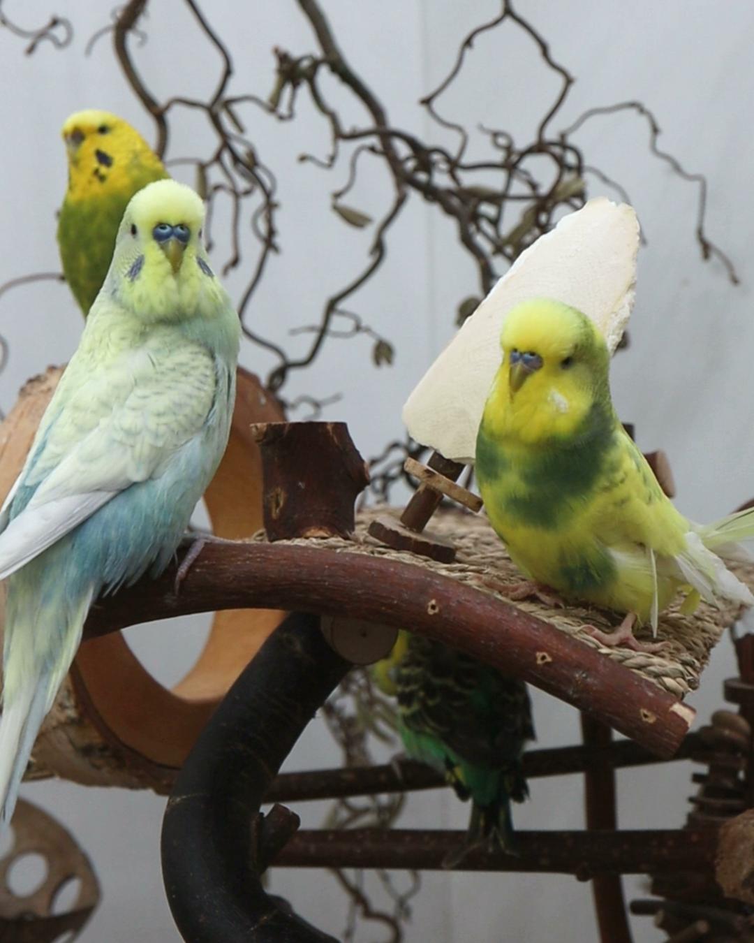 Aufgeben ist keine Option!