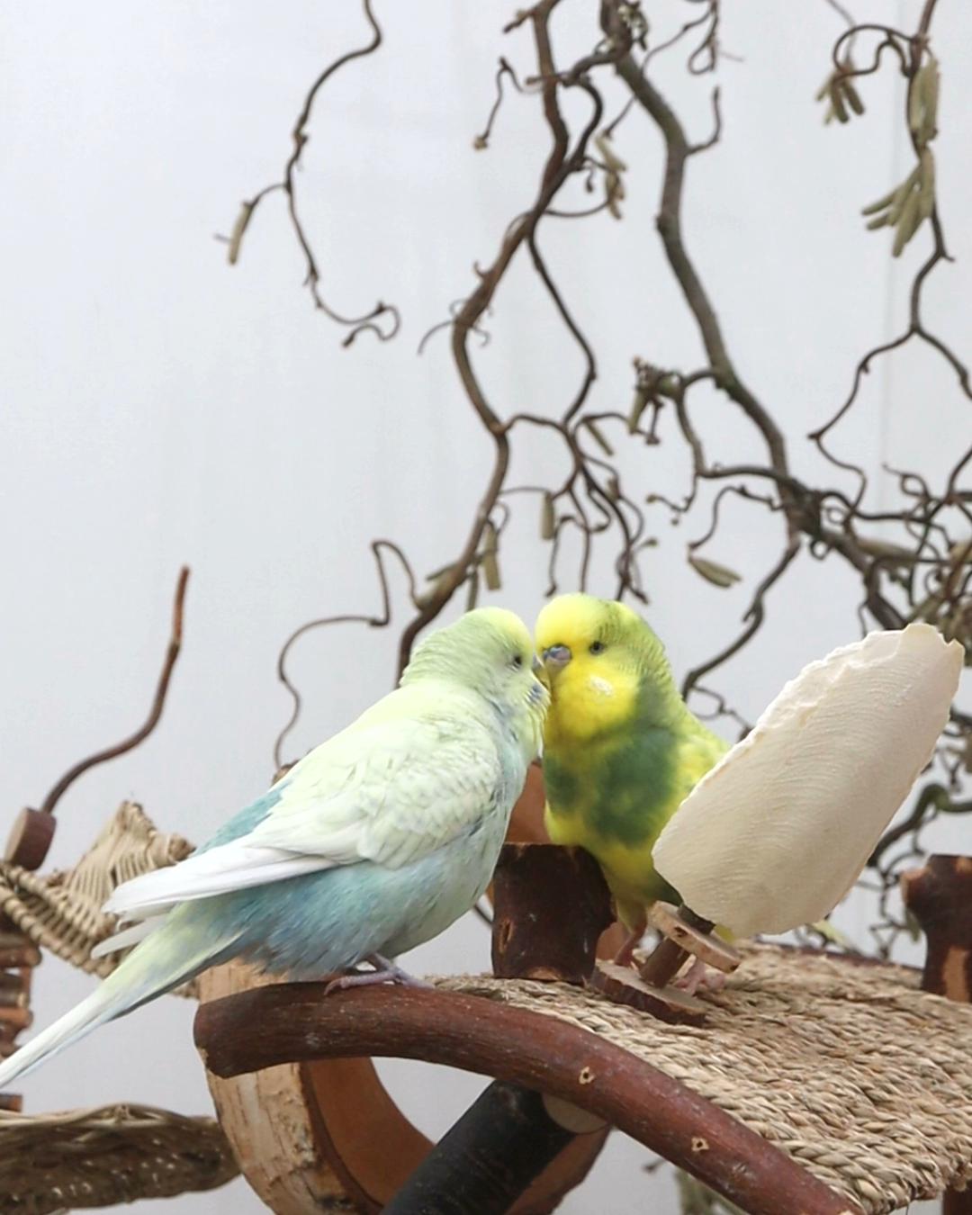 Ein Herz und eine Seele