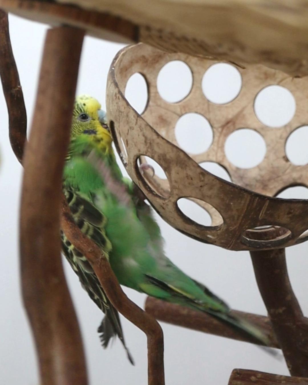 Kraxeln am Überhang