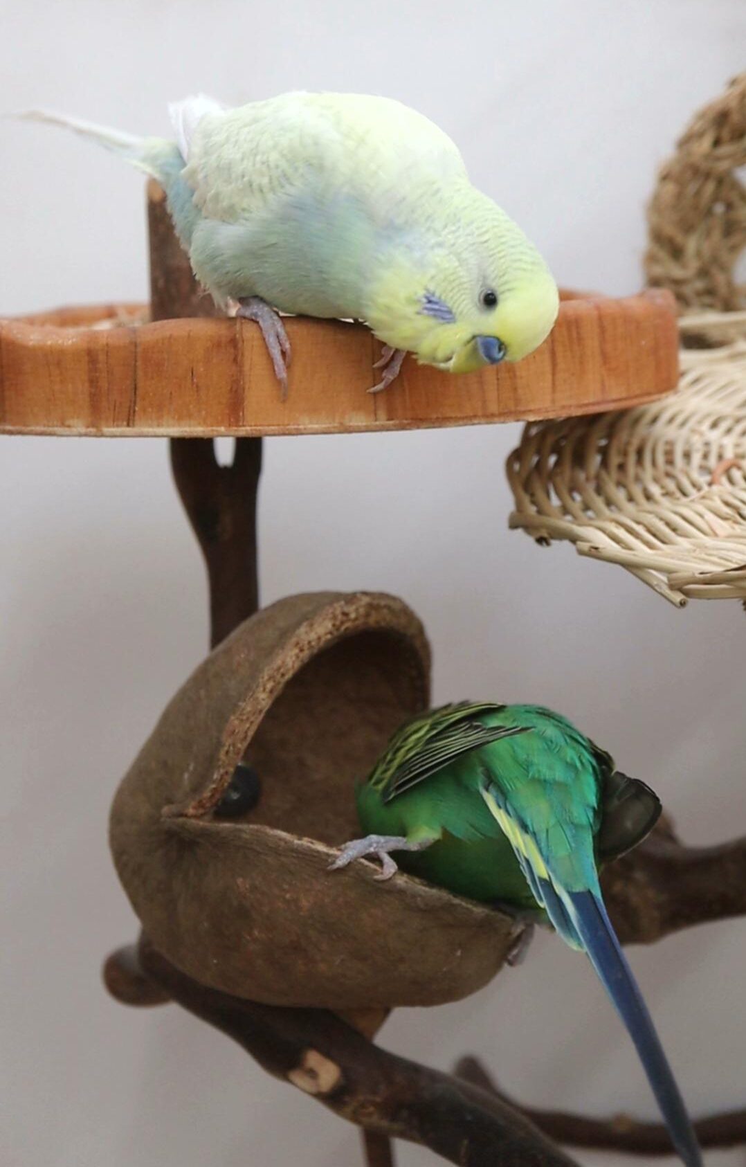 Hast du mal ne Minute?