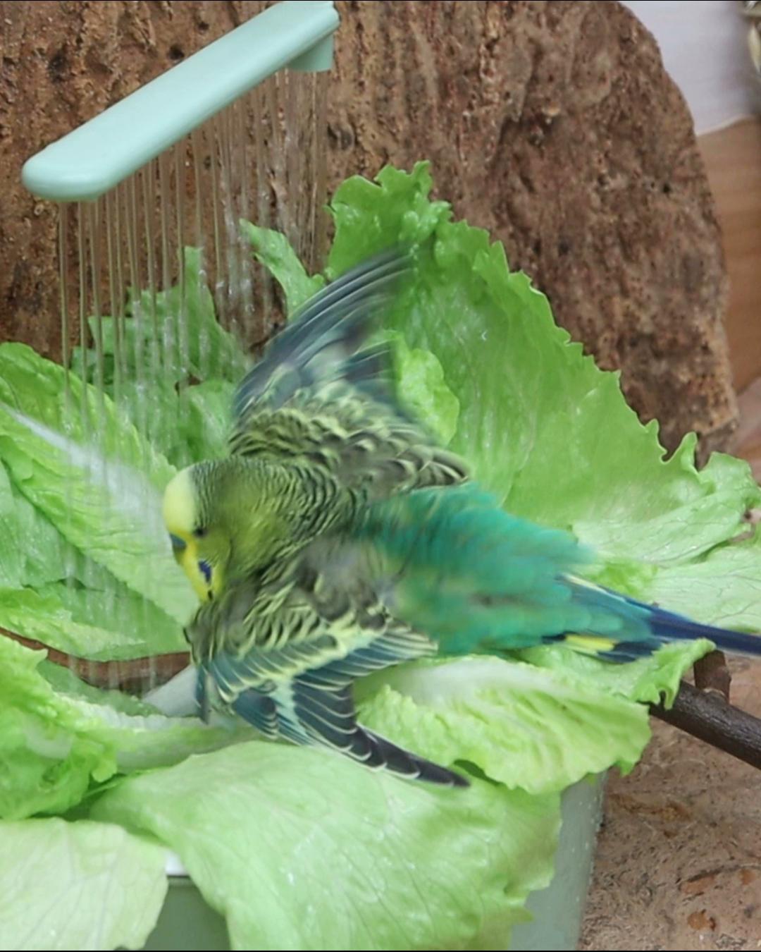 Doch kein Hexendings