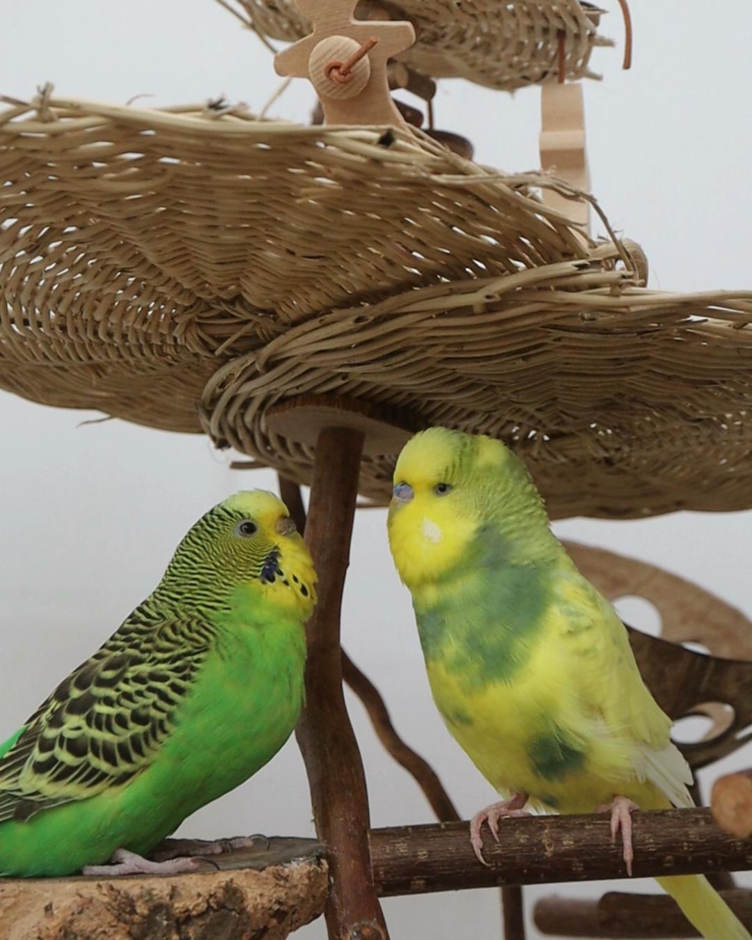 Oskar gibt Aufgaben ab