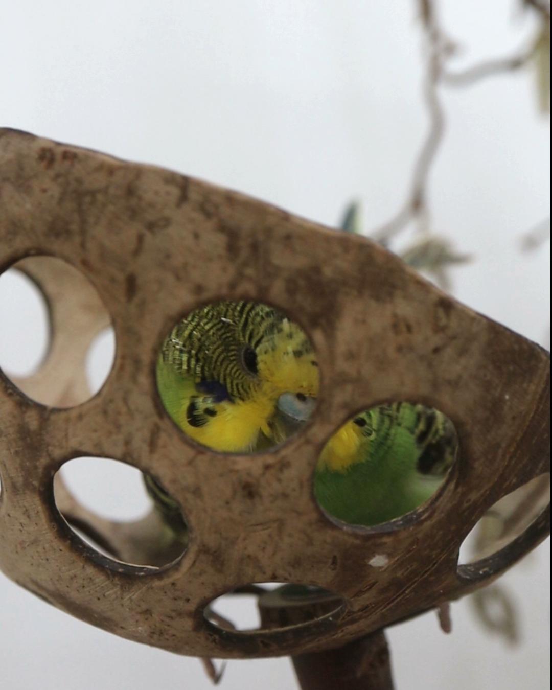 Chillsessel mit Ausgugg