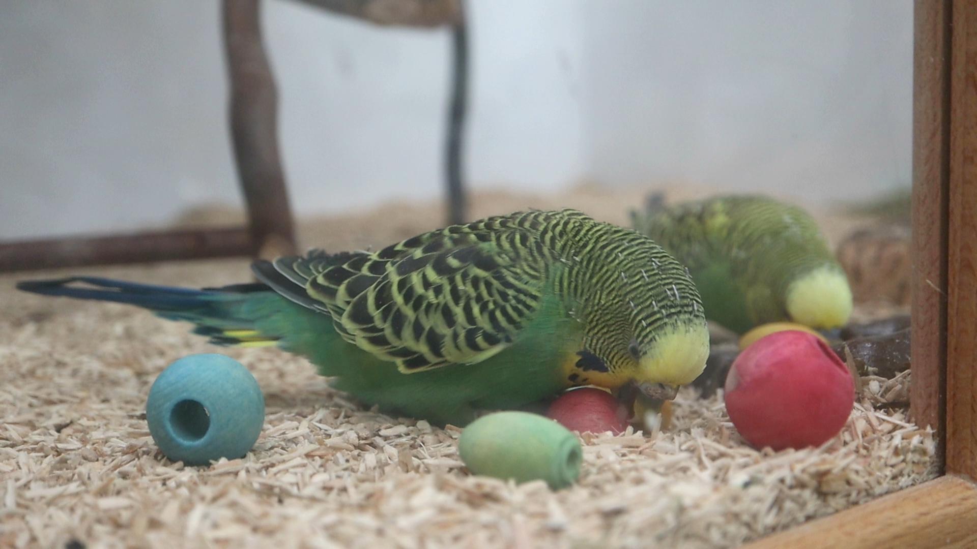 Das Ende der österlichen Weihnacht