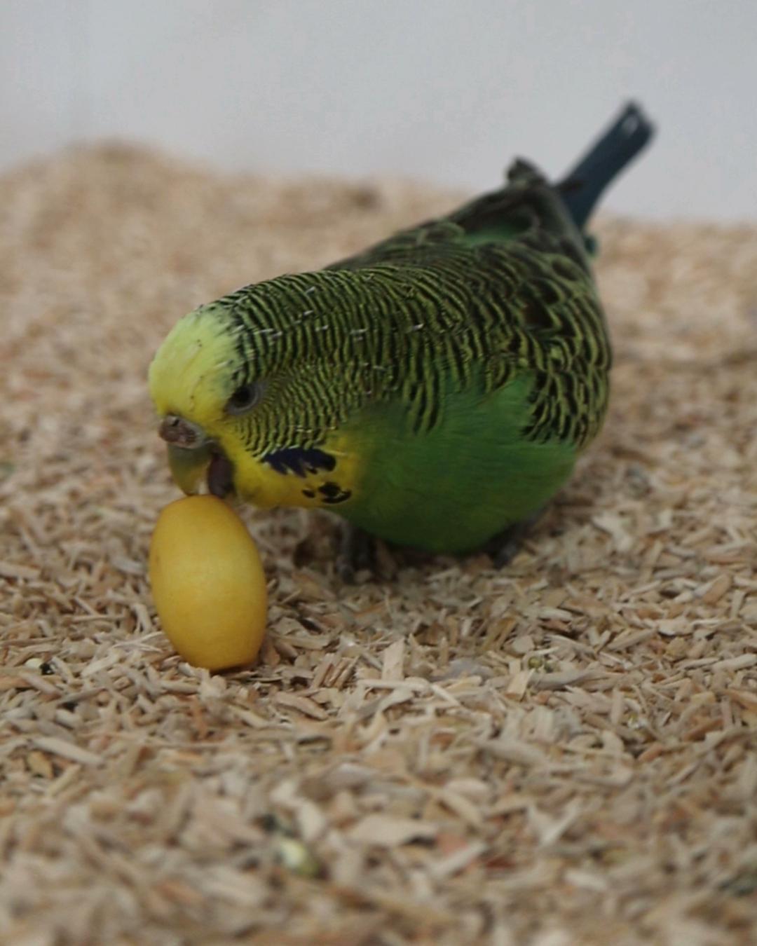 Unterschiedliche Vorstellungen