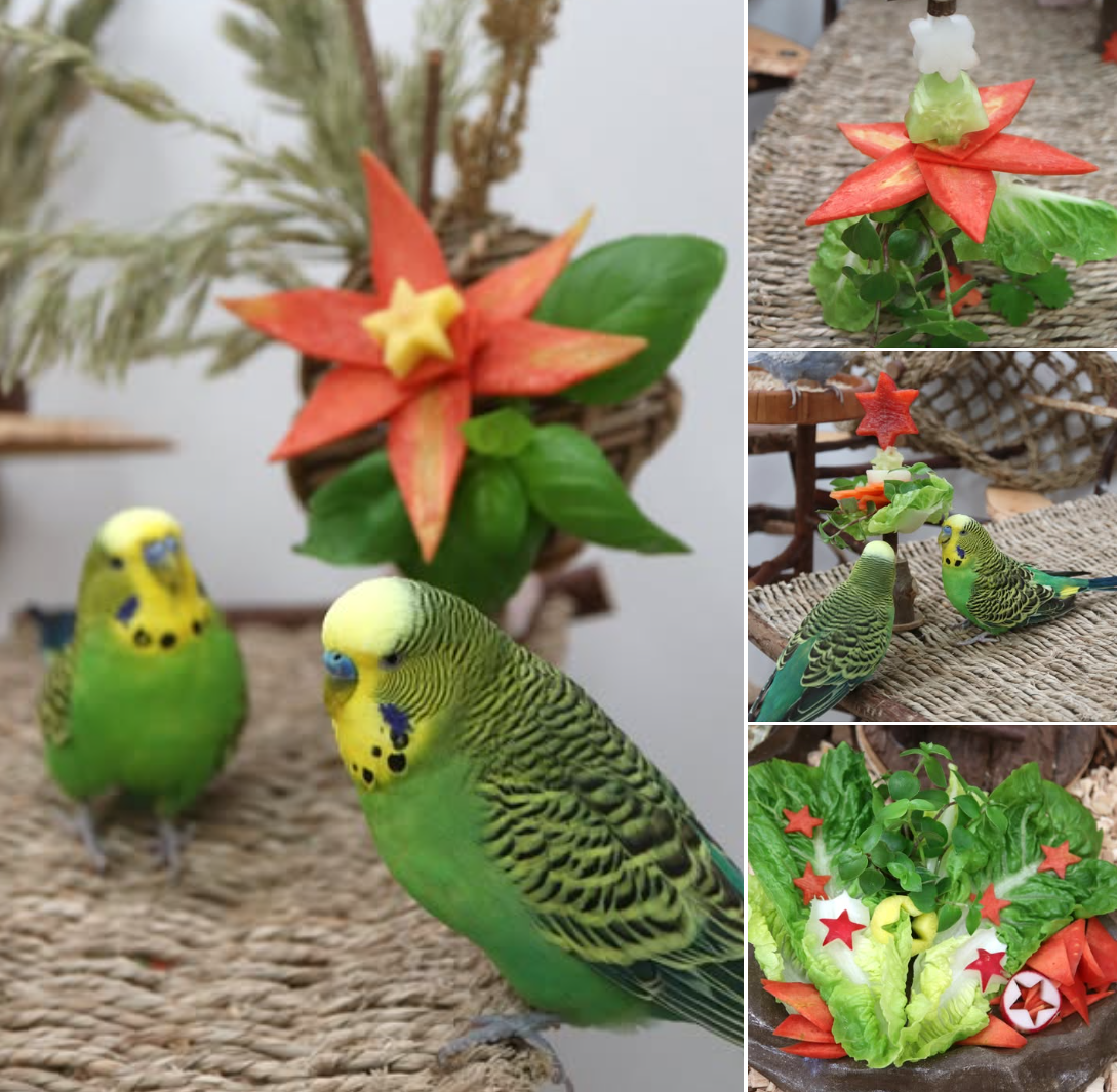 Essbare und gesunde Weihnachtsdeko